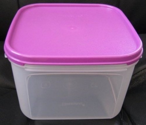 Amazon.com: Tupperware Modular Mates Square #2 Purple